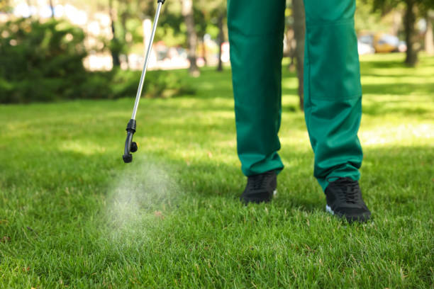 Best Pest Control for Homes  in Grant Park, IL