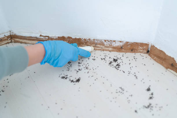 Best Pest Control for Homes  in Grant Park, IL