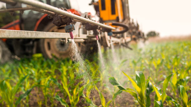 Best Local Pest Control Services  in Grant Park, IL